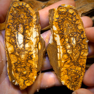 565cts - Large Tribal Yowah Nut Opal Rough Pair. Australian Opal