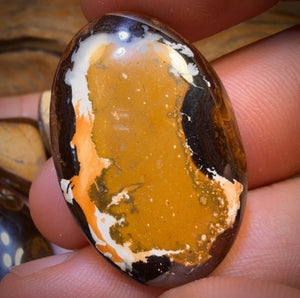 169.6cts - 5x Australian Boulder Opal’s. Wholesale Dealers Parcel