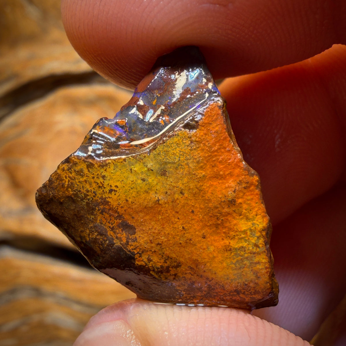 Bargain Rough! 49.9cts - Tribal Yowah Nut Opal Rough Piece