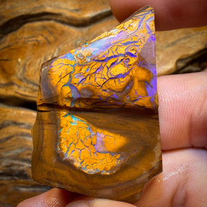 237.7cts - Tribal Yowah Nut Opal Rough Preform