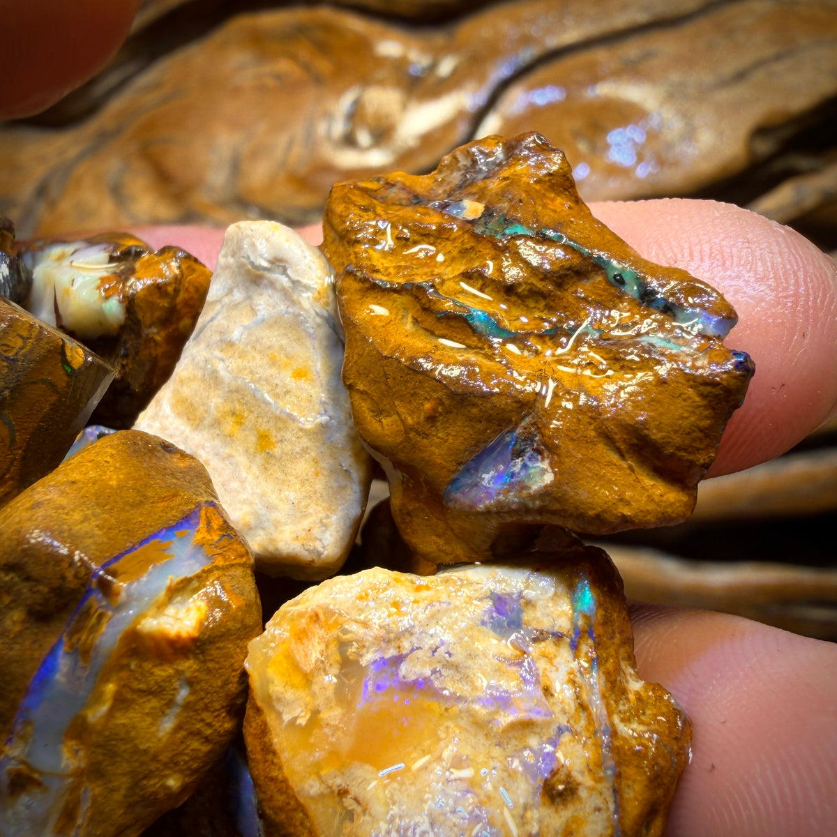 150g - Yowah Opalised Wood/Vegetation Fossil Rough Parcels. BULK LISTING!