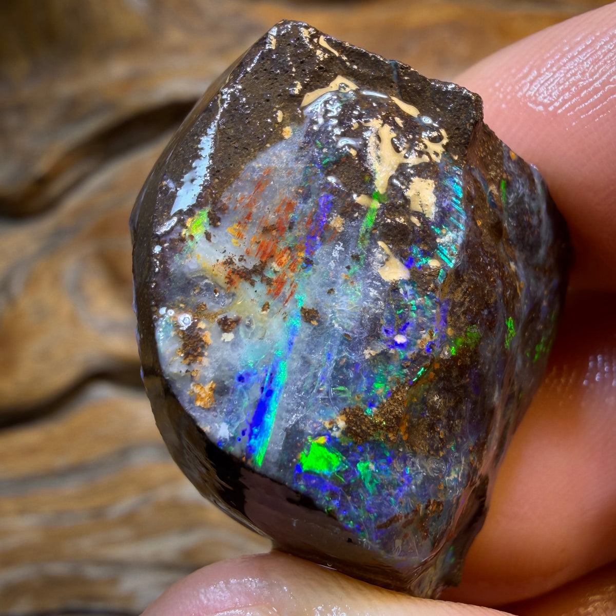 HDW 86.1cts - Queensland Boulder Seam Opal Rough Piece. Natural Split