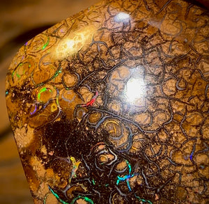 35.3cts - Tribal Queensland Boulder Opal from Yowah