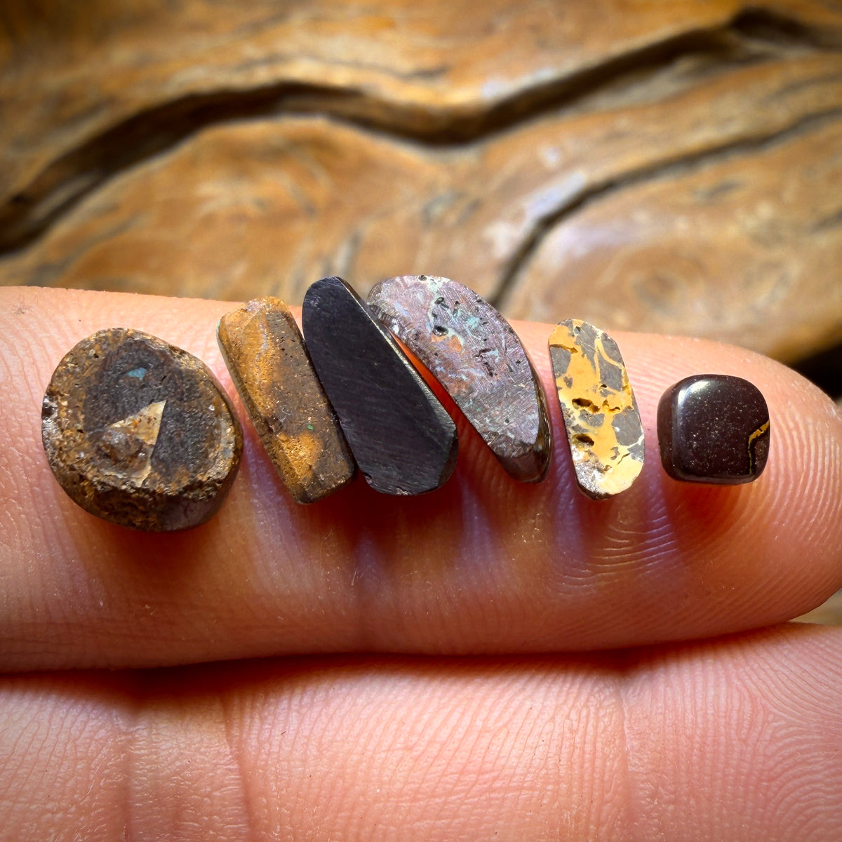 🔒8.3cts - 6x Australian Boulder Opal’s. Wholesale Dealers Parcel