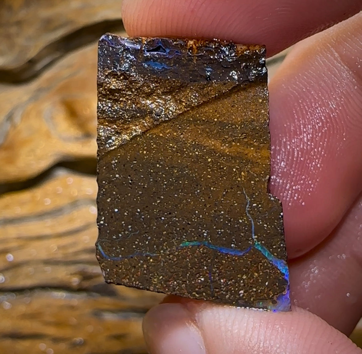 58cts - Australian Boulder Opal Rough Preform. Natural Split - Opal Whisperers