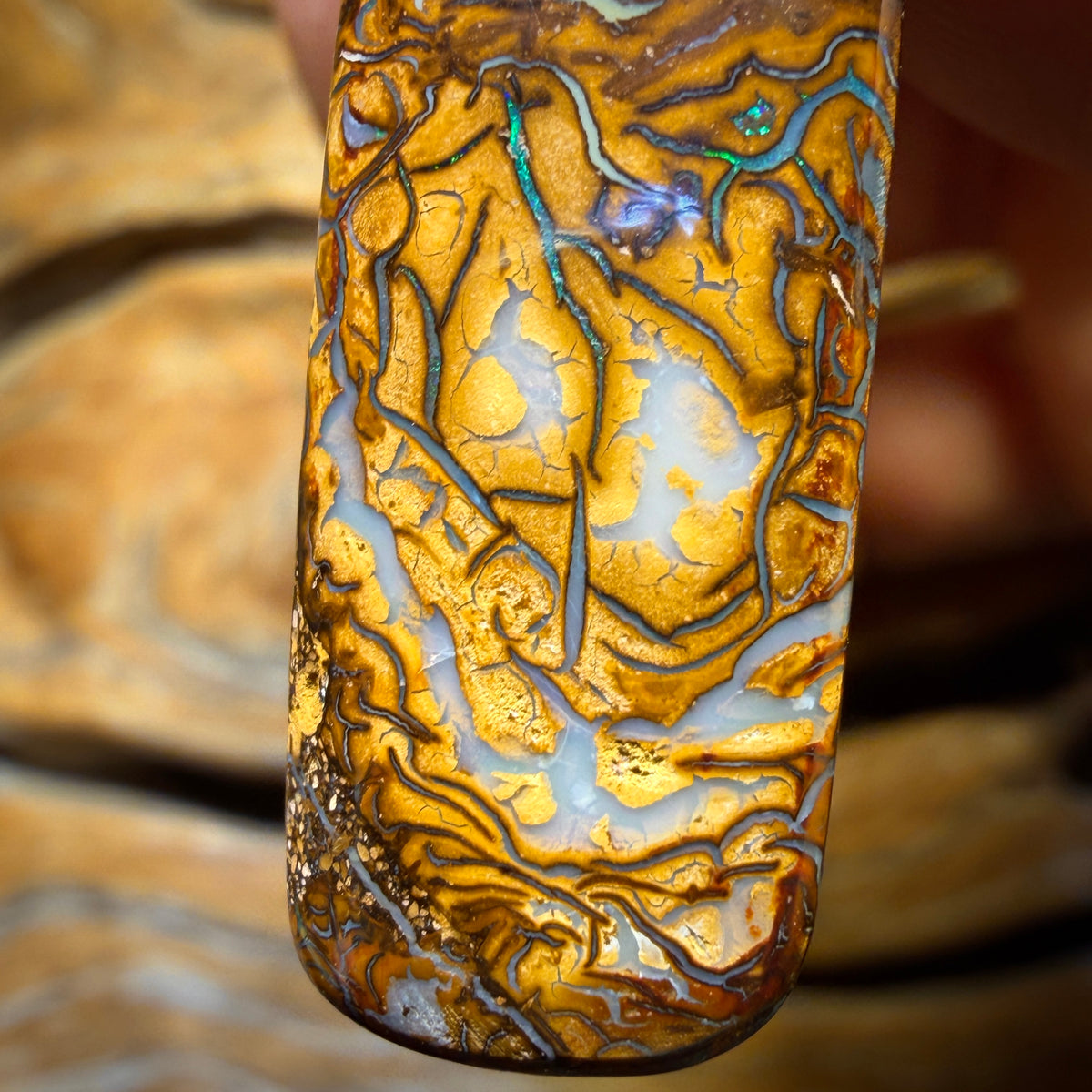 30 x 13mm - Drilled Tribal Queensland Boulder Opal Necklace