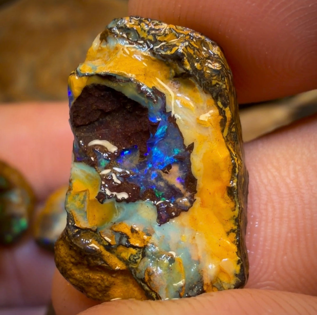 🔒59.1cts - 4x Yowah Nut Rough Opal Parcel. Australian Boulder Opal