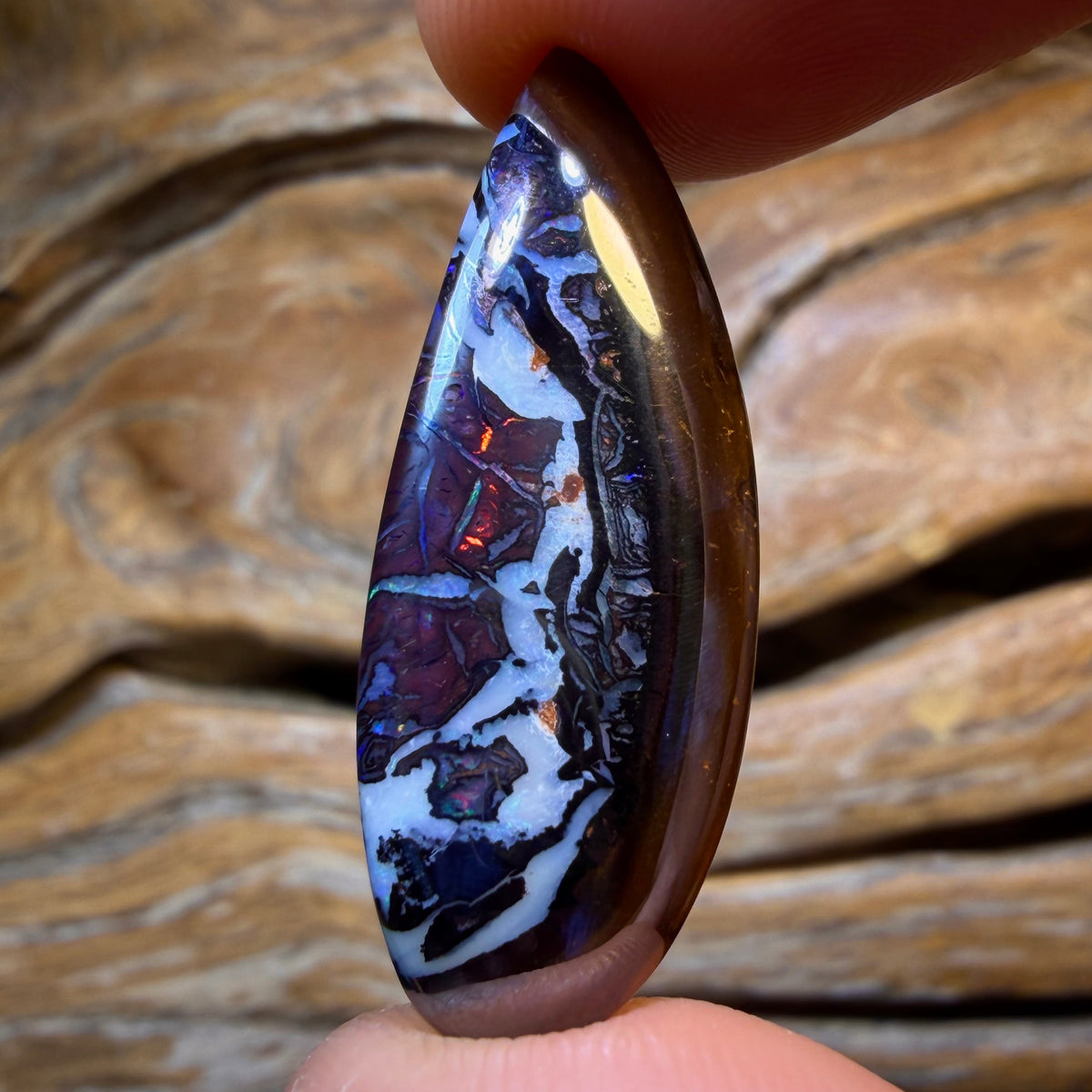 24.1cts - Tribal Queensland Boulder Opal. Australian Opal