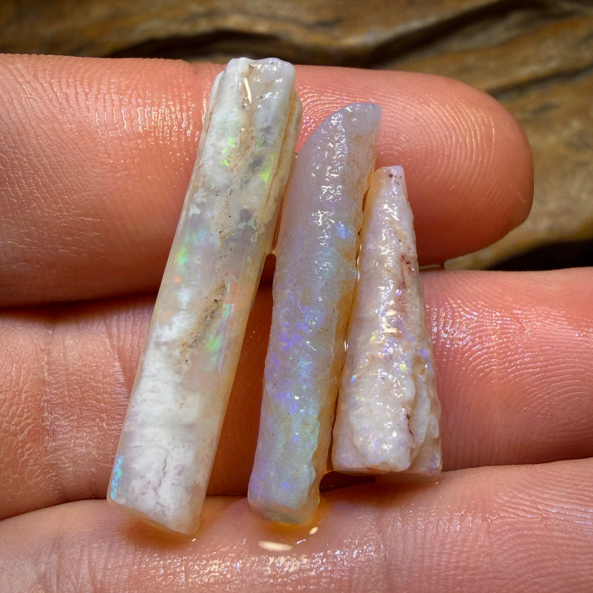 24.2cts - 3x Opalised Belemnite Geological Specimens from South Australia