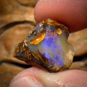24.2cts - Boulder Pipe Opal Rough Piece. Australian Opal