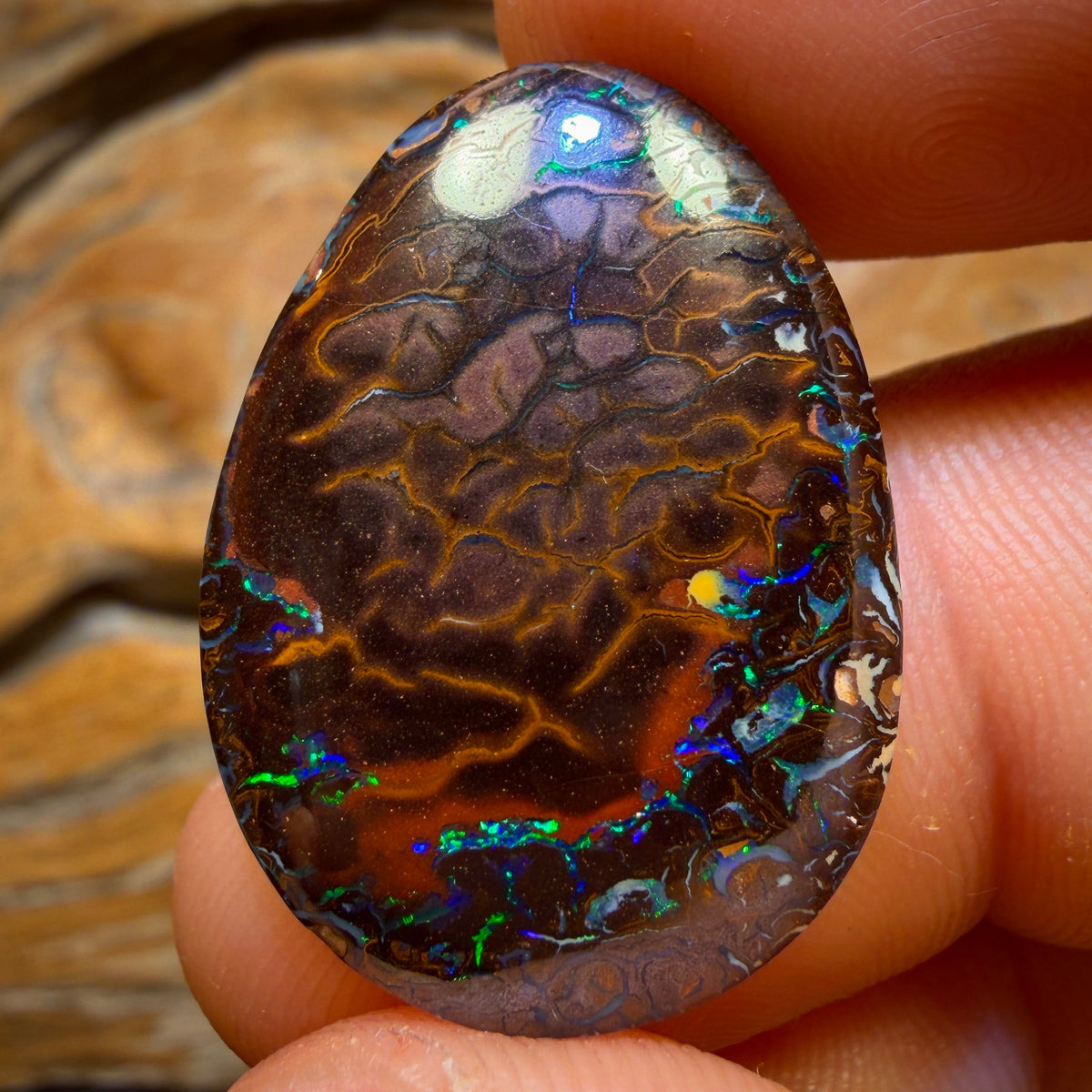 24.5cts - Tribal Queensland Boulder Opal from Koroit