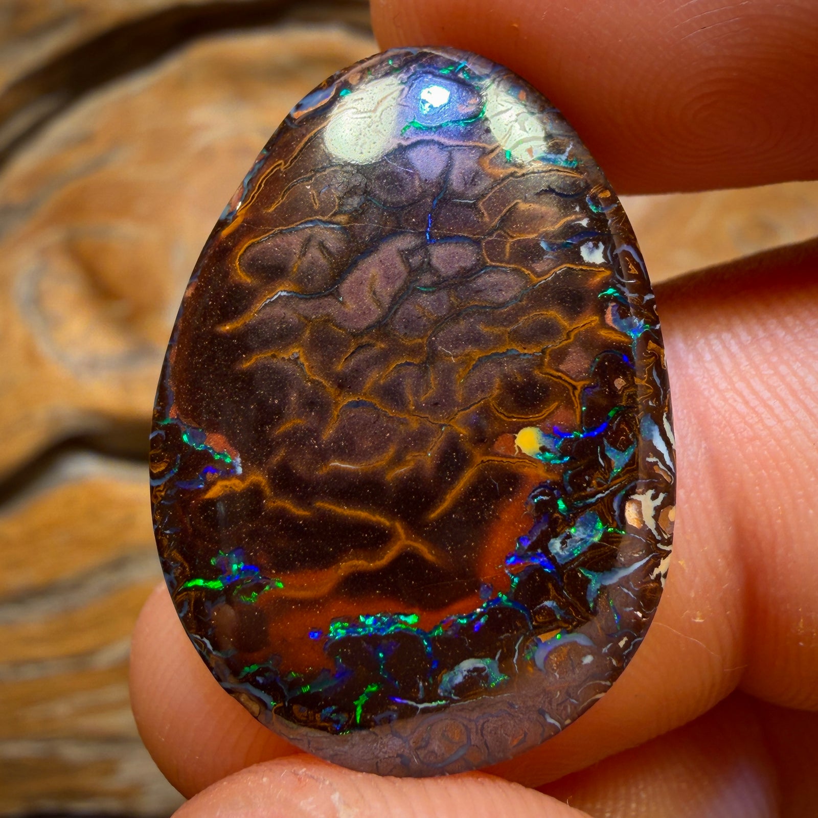 24.5cts - Tribal Queensland Boulder Opal from Koroit