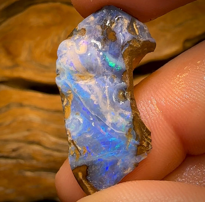 🔨 AUCTION 🔨 No Reserve 19.5cts - Queensland Boulder Seam Opal Rough Piece