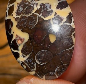 39.3cts - Queensland Boulder Opal Half Price Tribal BARGAIN