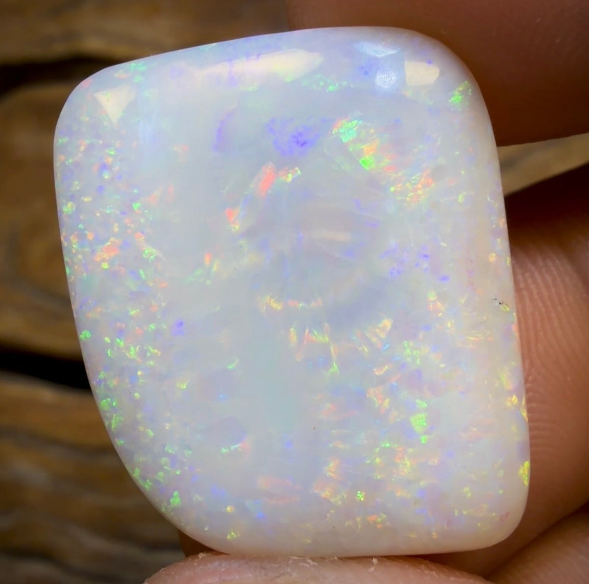 21.6cts - Olympic, South Australian White Opal