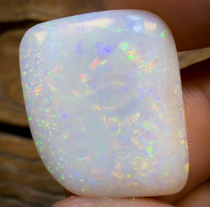21.6cts - Olympic, South Australian White Opal