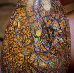 24.3cts - Tan Tribal Yowah Nut Opal. Australian Opal