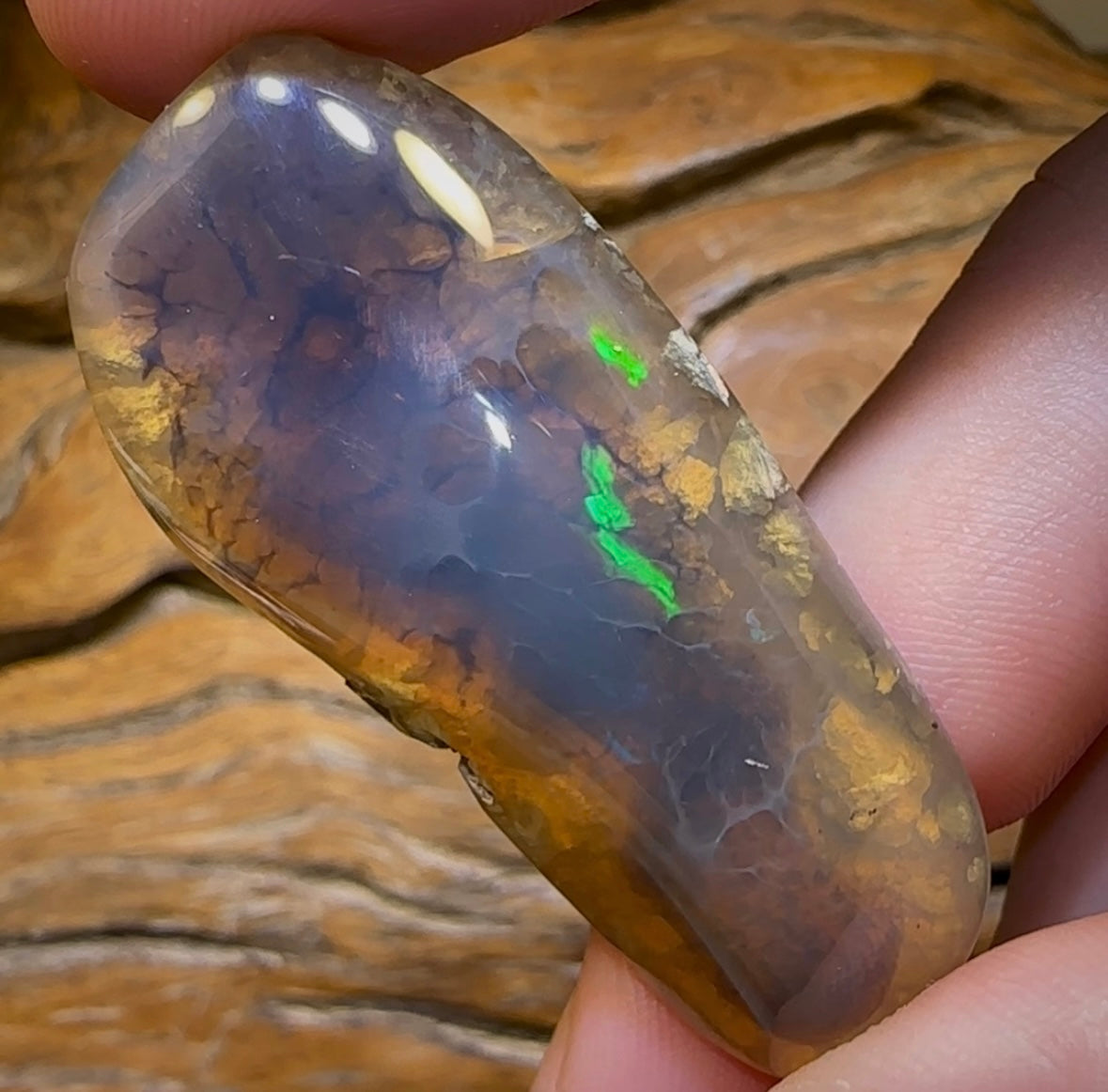 80.2cts - “There’s Something Special Going On” Lightning Ridge Black Crystal Opal Fossil Specimen. - Opal Whisperers