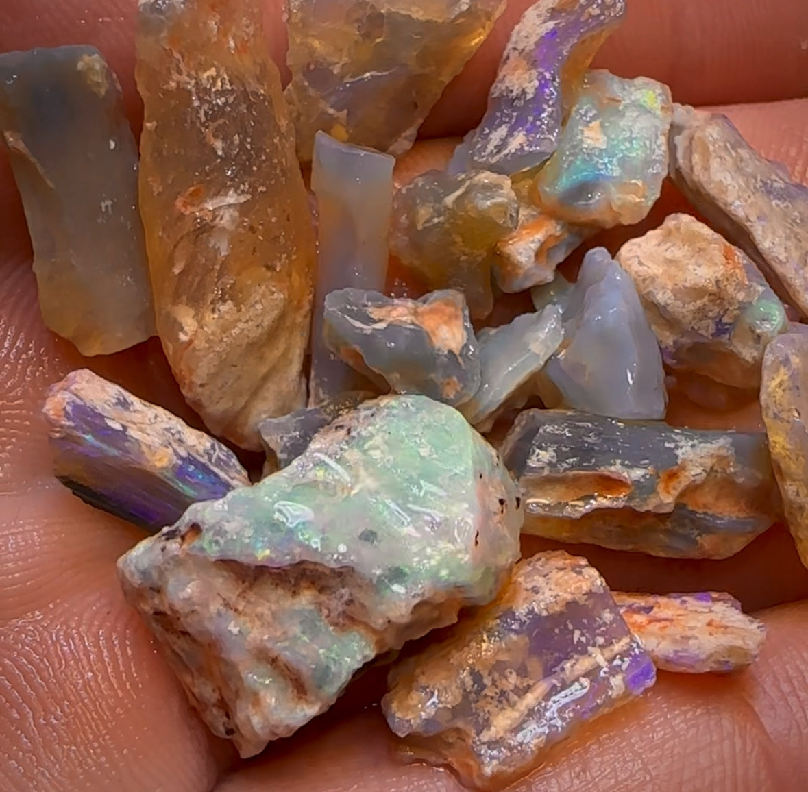 80.1cts - 24x Opalised Fossil Geological Specimens from Lightning Ridge