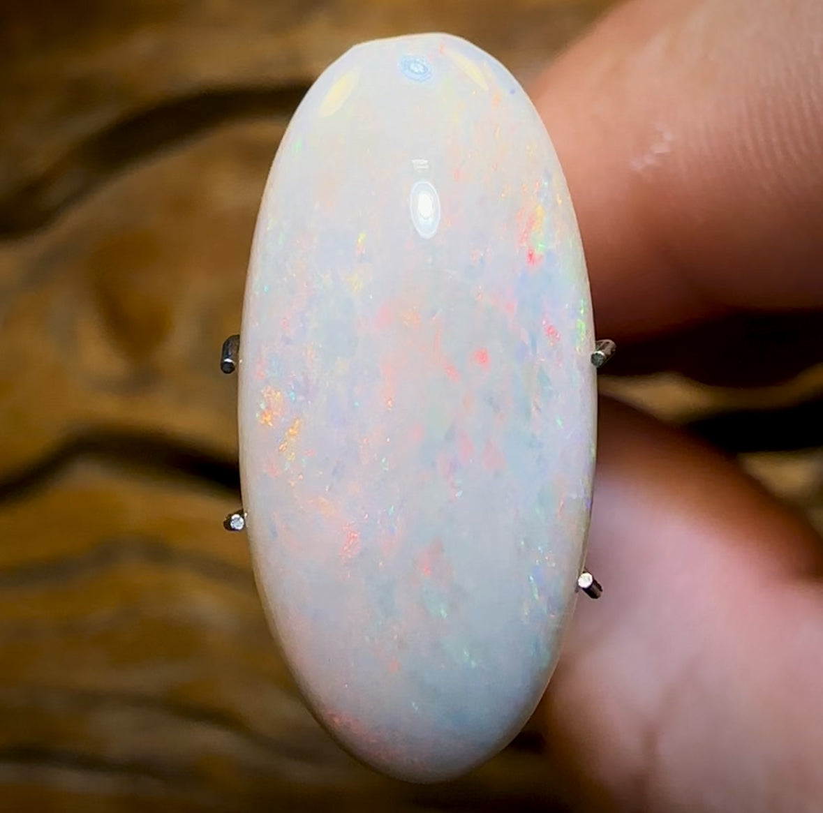 5.95cts - South Australian White Opal Big Bargain