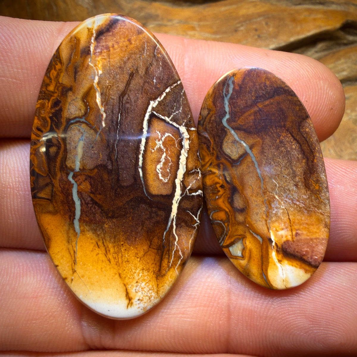 LATECARD! 64.8cts - “ One Was Big One Was Little” Tribal Queensland Boulder Opal Pair