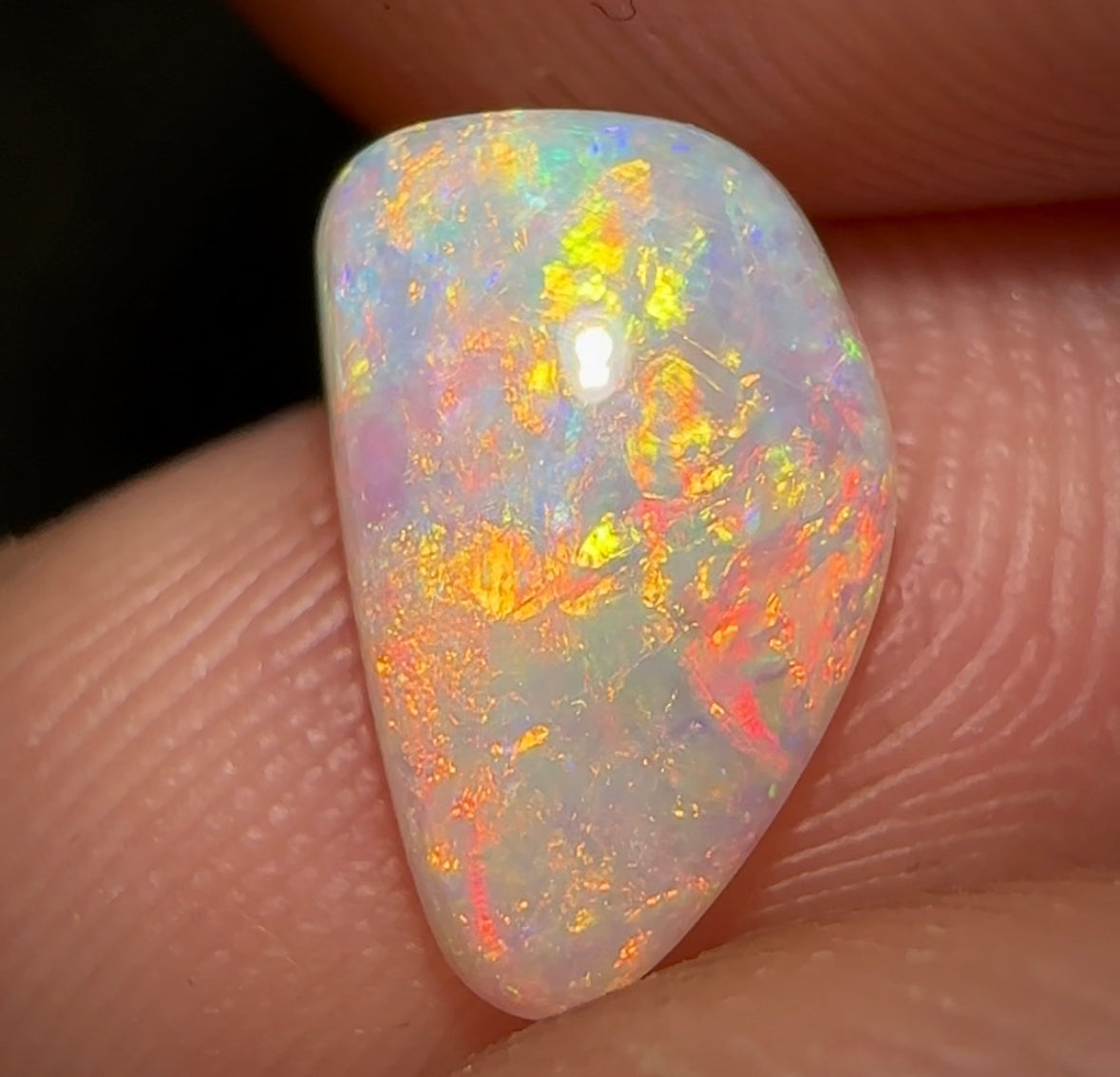 1.2cts - South Australian Crystal Opal. Fossilised Pippy Shell - Opal Whisperers