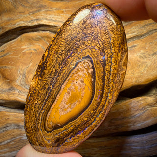 248,8 carats - Grande opale Boulder tribale du Queensland de Yowah 1 $/carat Pierre taillée massive