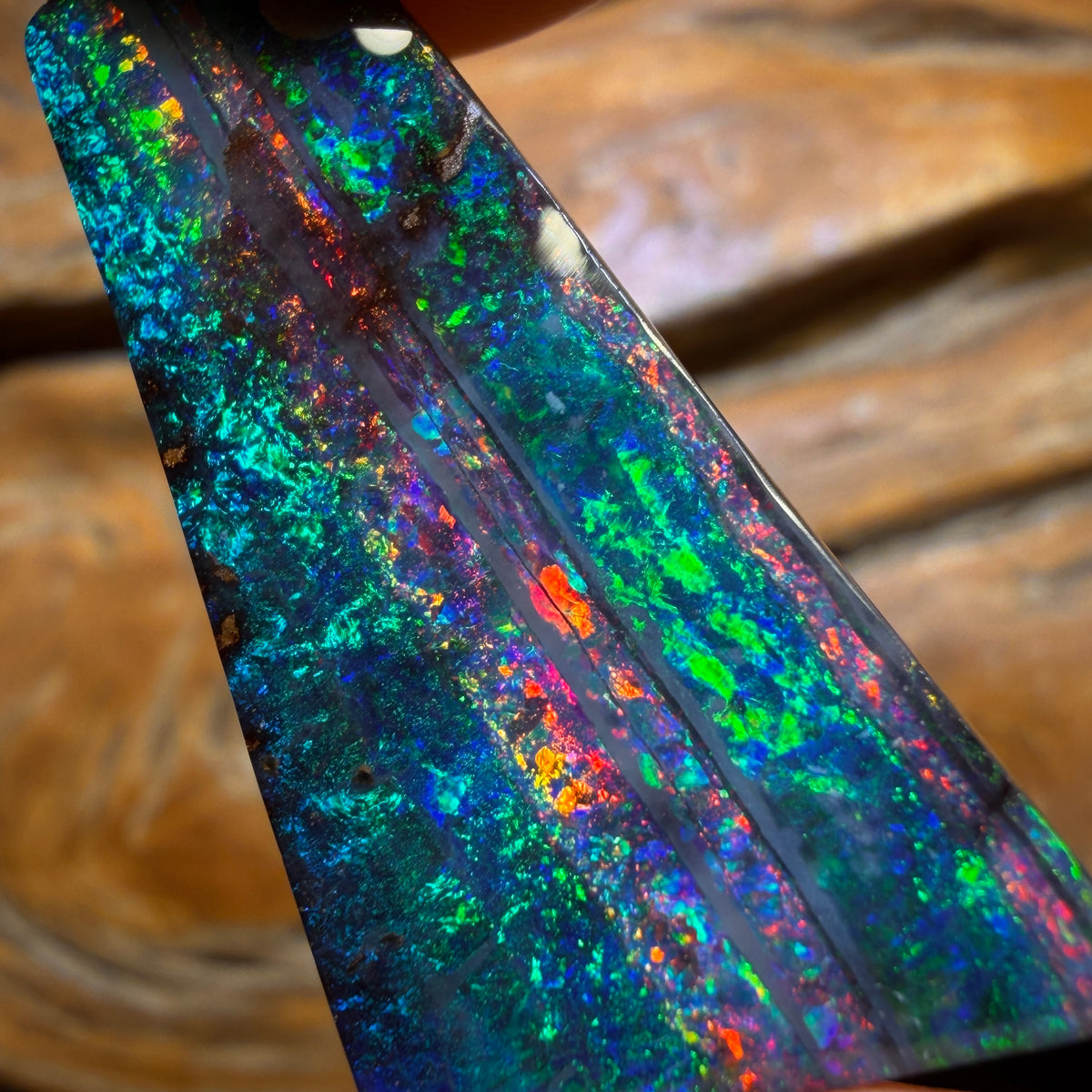 “Set in Stone” - Private Collector Acquisition - “Red Carpet” 19.9cts - Top Australian Boulder Seam Opal