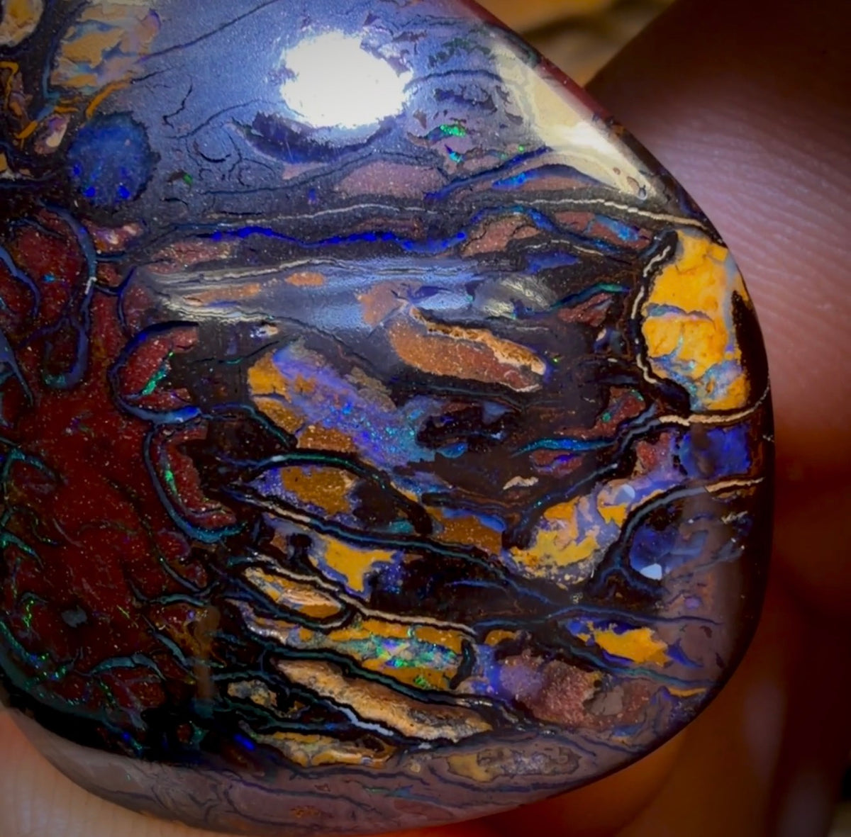 131.1cts - Top Tribal Australian Boulder Opal from Koroit