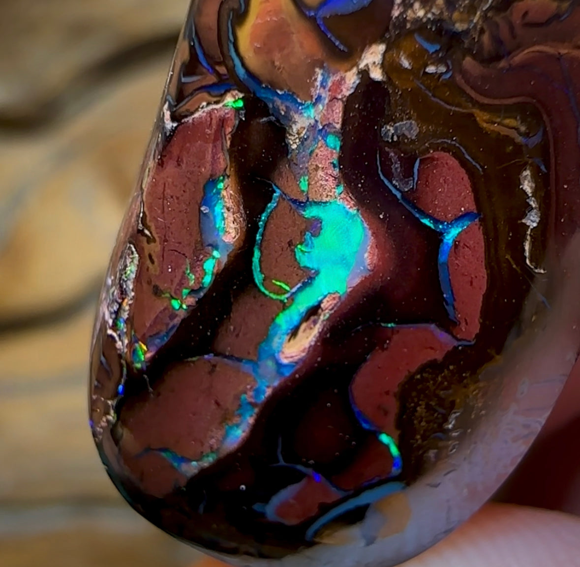 34.4cts - “Zebra” Tribal Yowah Nut Opal. Australian Opal - Opal Whisperers