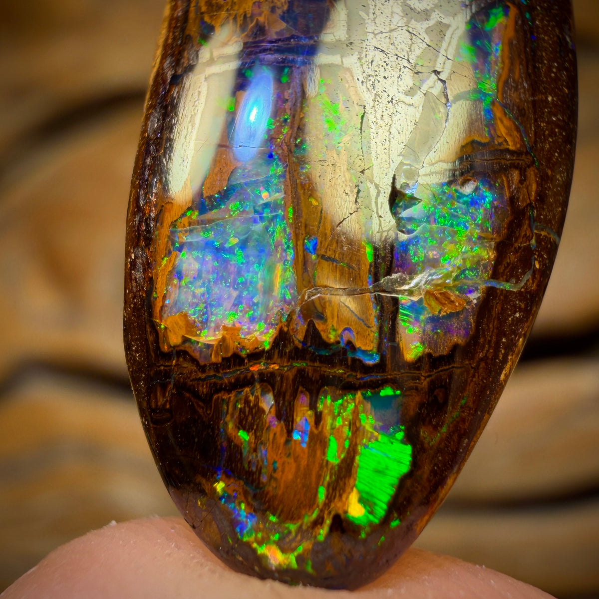 17.9cts - “Cathedral” Top Wood Fossil Replacement Boulder Opal from Yowah