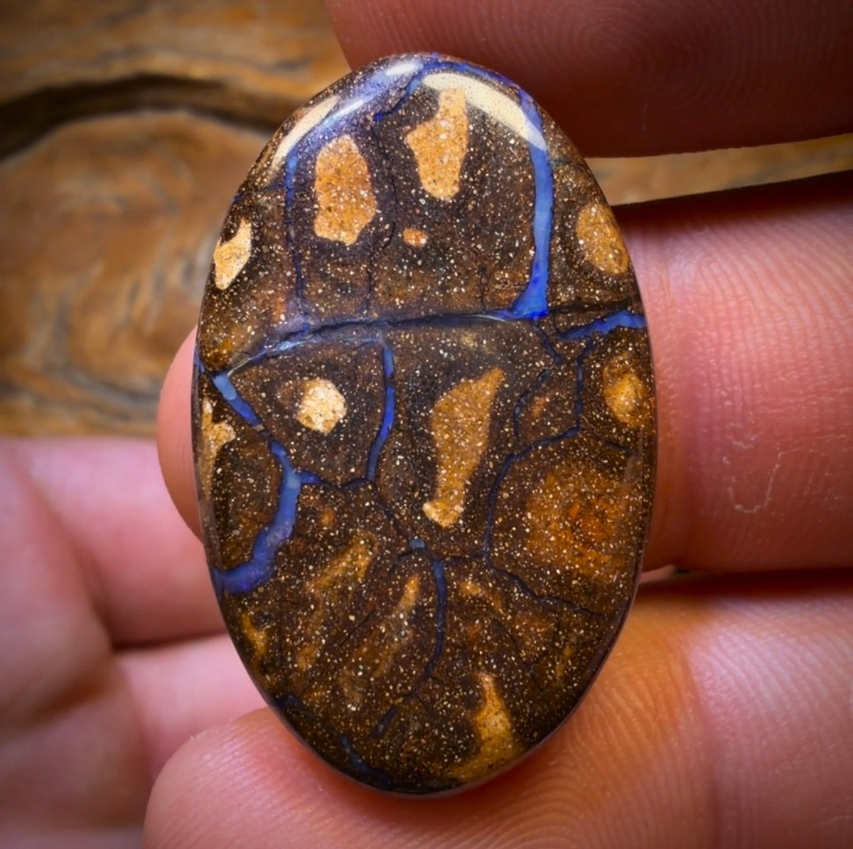 180.7cts - 5x Australian Boulder Seam Opal’s. Wholesale Dealers Parcel