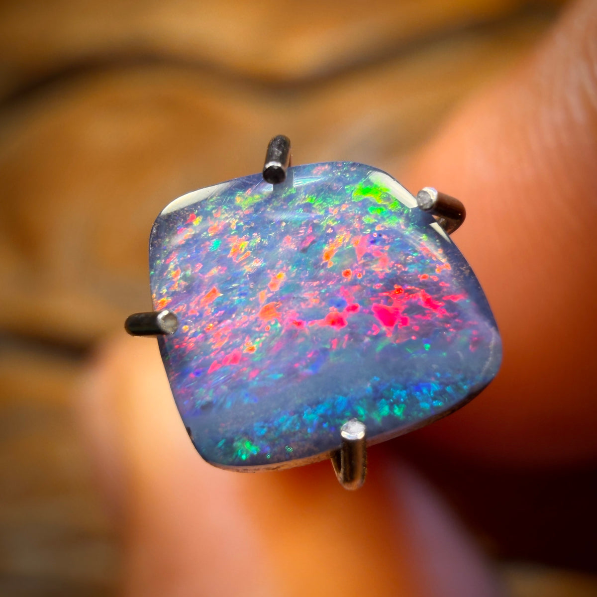 🔨 AUCTION 🔨 Reserve 💎 High Roller Banger Auction 💎 0.8cts - Solid Queensland Boulder Seam Opal. Top Red Multi