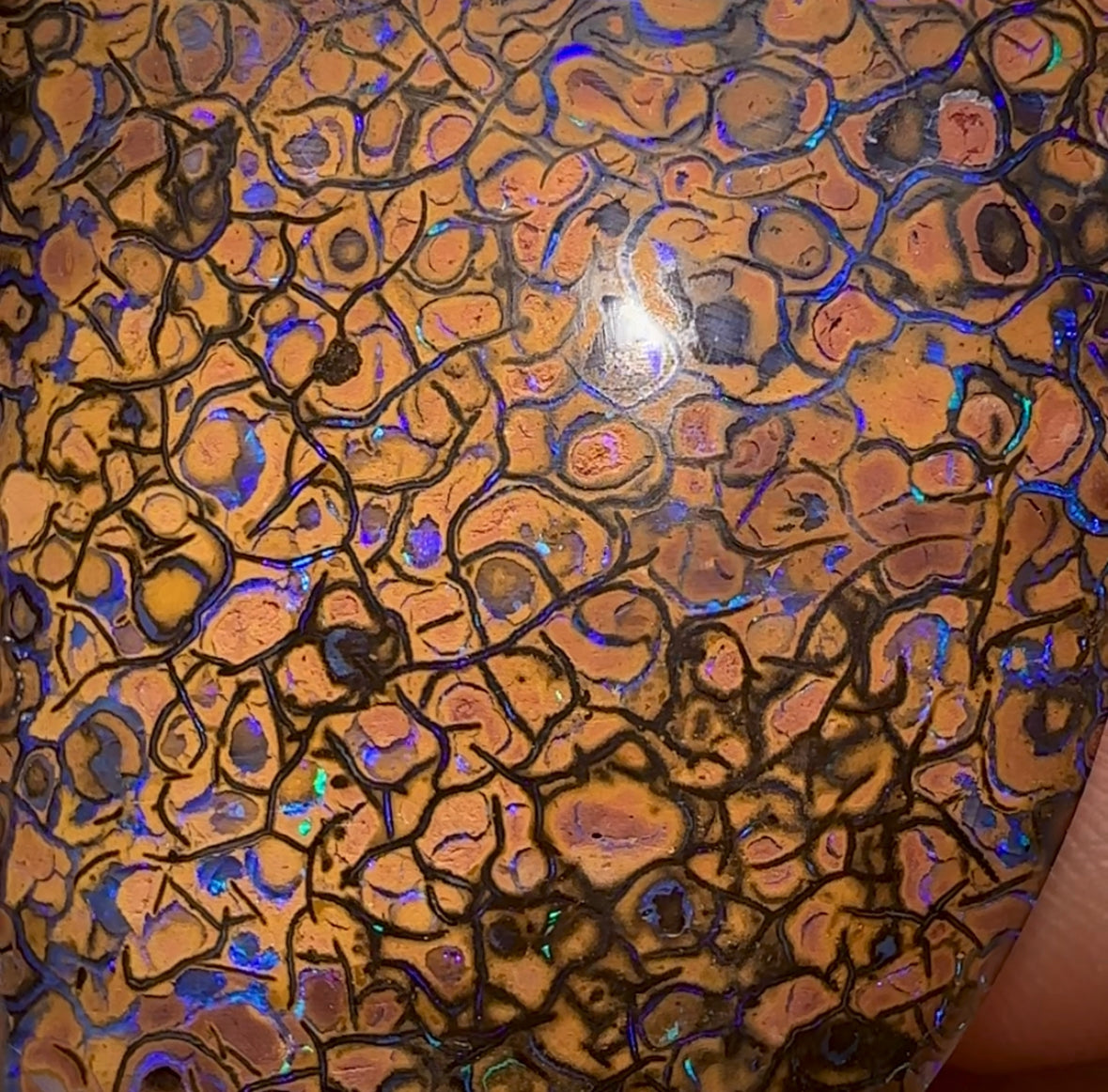 342.7cts - Yowah Nut Opal Specimen Pair. TRIBAL PATTERN - Opal Whisperers