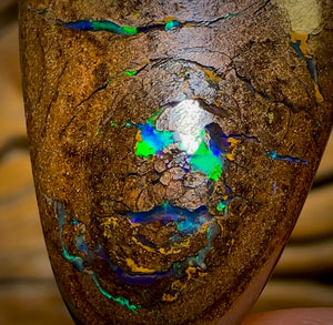 50.6cts - Queensland Boulder Opal from Yowah