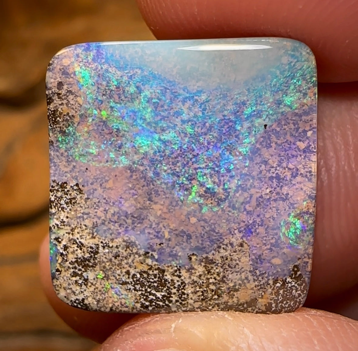 19.8cts - “Aquatic Rectangle” Queensland Boulder Opal from Winton - Opal Whisperers
