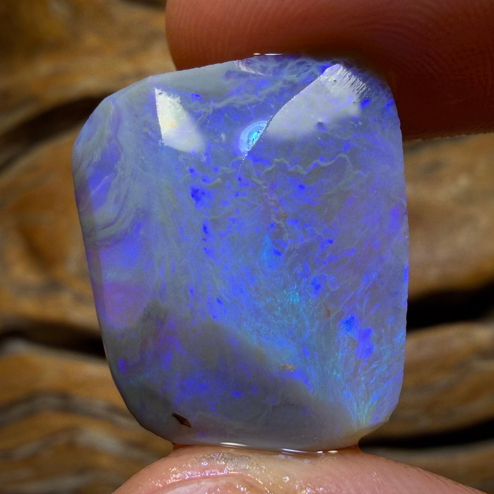 25.1cts - Lightning Ridge Crystal Opal Rough Rub