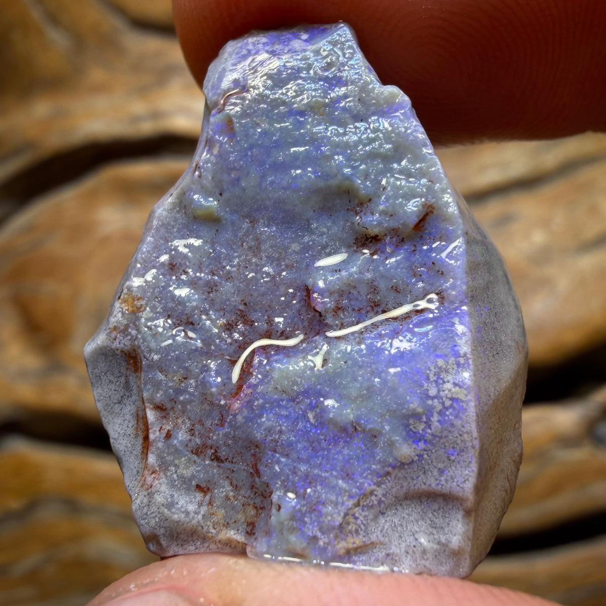 25.4cts - Lightning Ridge Dark Opal Rough Piece