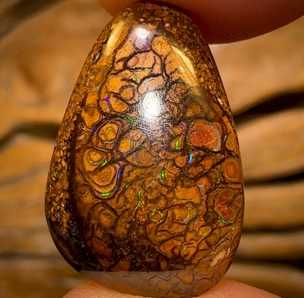 11.7cts - Tribal Queensland Boulder Opal from Yowah