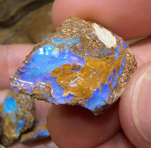 105.4cts - 6x Queensland Boulder Opal. Fossil Wood Replacement - Opal Whisperers