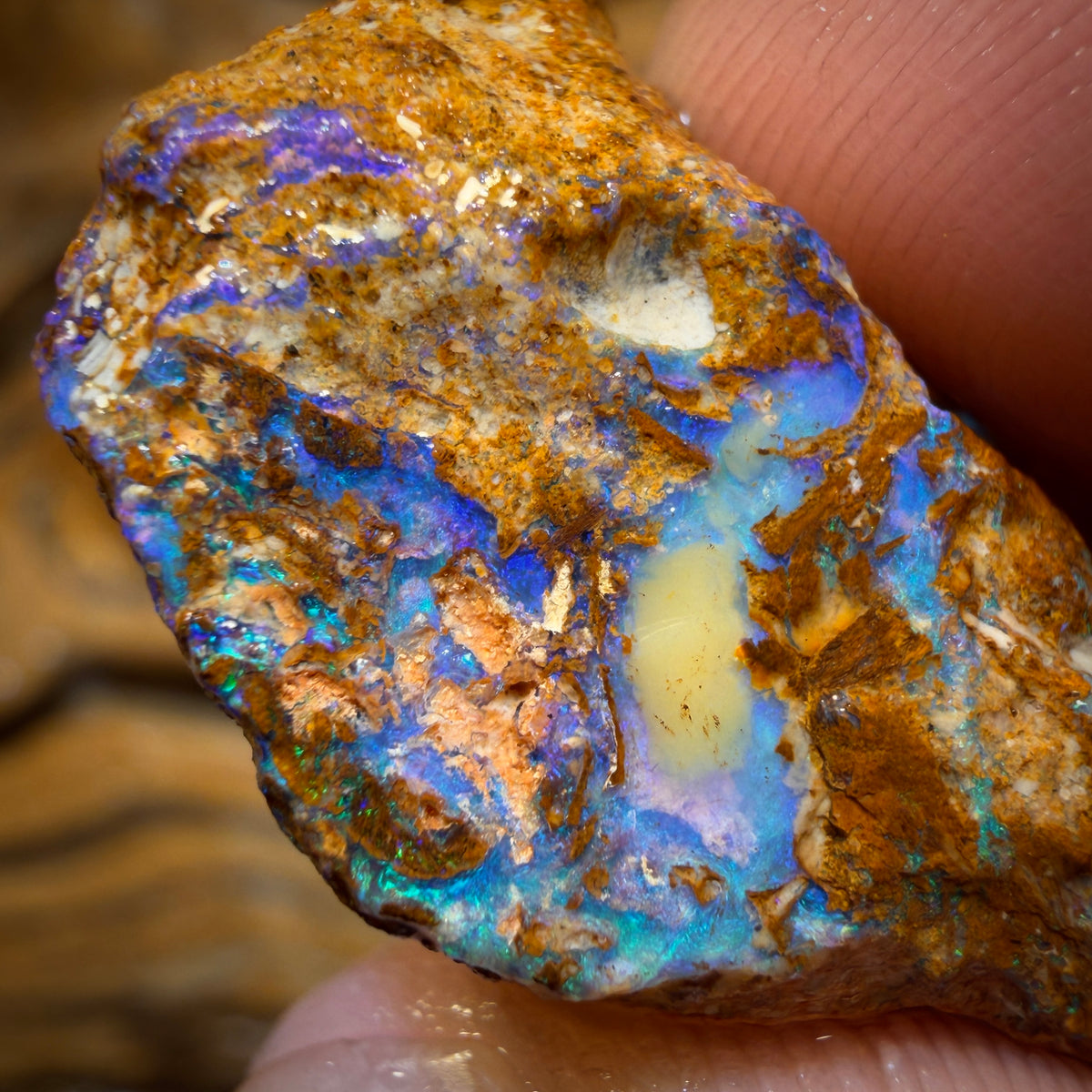44.9cts - Great Opalised Wood/Vegetation Fossil Rough Opal Piece from Yowah