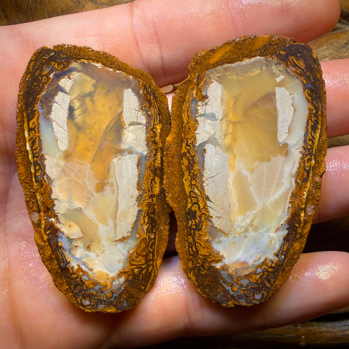 254.8cts - RARE Yowah Nut Partial Crystal Centre Rough Specimen Pair