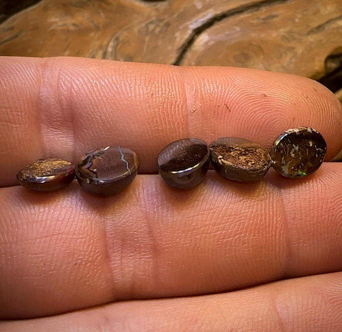 12.6cts - 5x Finished Queensland Boulder Opals. Wholesale Parcel CALIBRATED