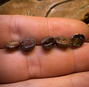 12.6cts - 5x Finished Queensland Boulder Opals. Wholesale Parcel CALIBRATED