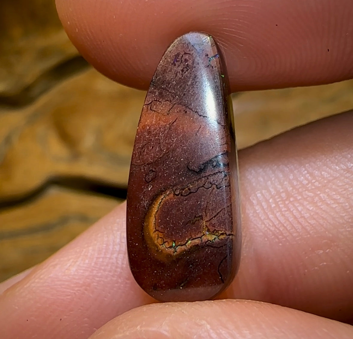10.4cts - Yowah Opal Fossil Wood Replacement. Australian Boulder Opal - Opal Whisperers