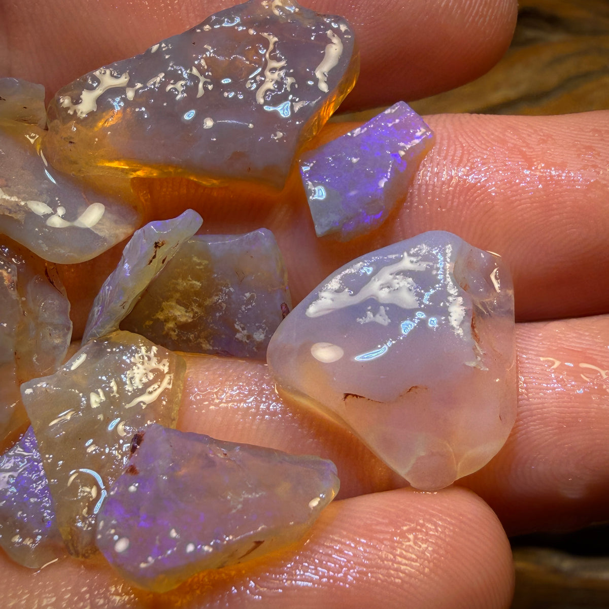 61.5cts - 15x Lightning Ridge Opal Rough Parcel. Inlay and Doublet Material