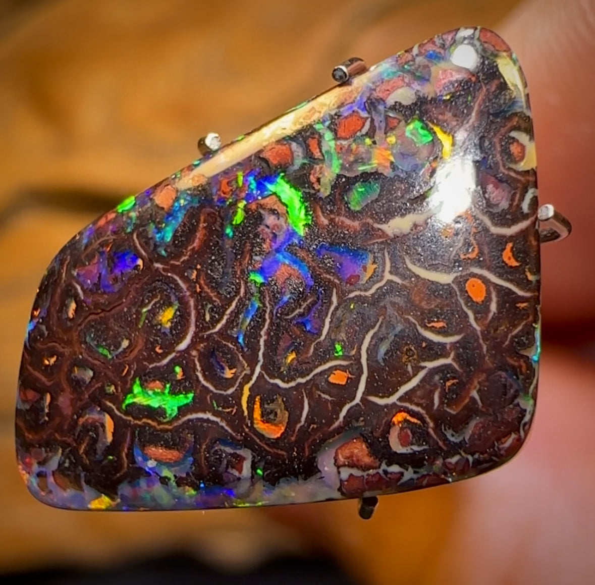 8.5cts - Tribal Australian Boulder Opal from Yowah Electric