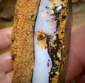 235.1cts - 3x Boulder Pipe Opal Rubs. Australian Opal Bargain under $1/ct