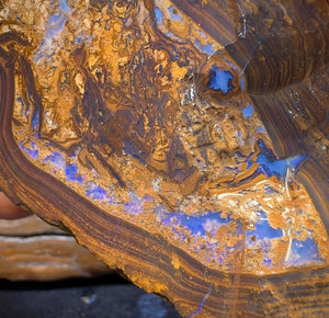 306.3g - Large Yowah Nut Opal Rough Slab - Opal Whisperers