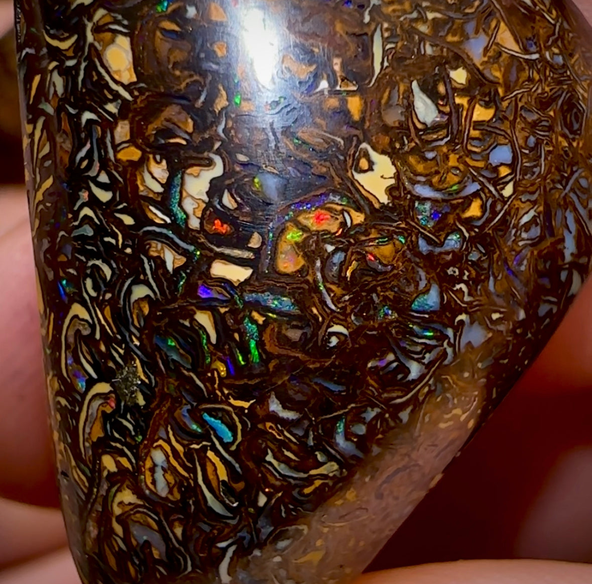 The 123.6cts - 4x Tribal Queensland Boulder Opals. Wholesale Parcel - Opal Whisperers